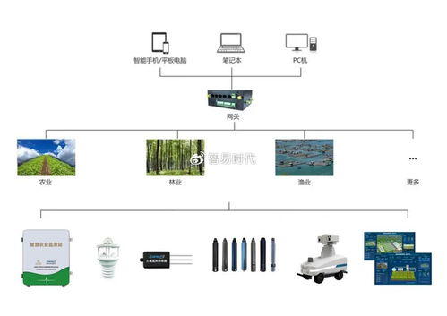 智易時代高標(biāo)準(zhǔn)農(nóng)田工程設(shè)施智能化管護(hù)系統(tǒng)建設(shè)方案